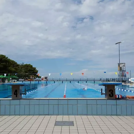 Апартаменты Apartma Zusterna *